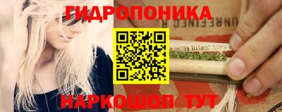 соль ск Краснодар